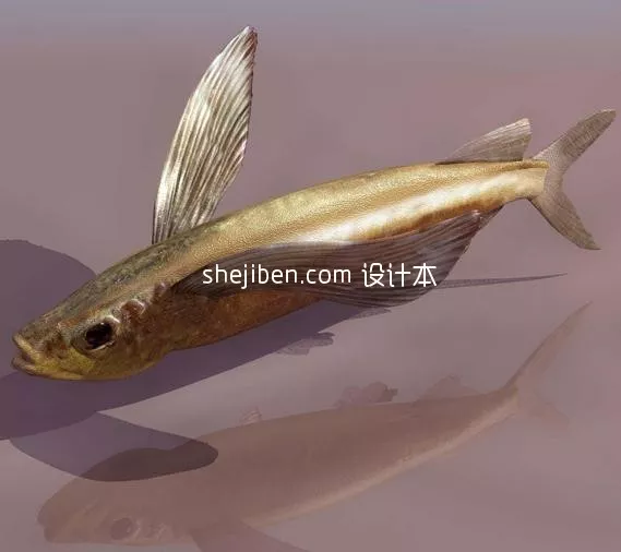 Shiny Goldfish 3d model