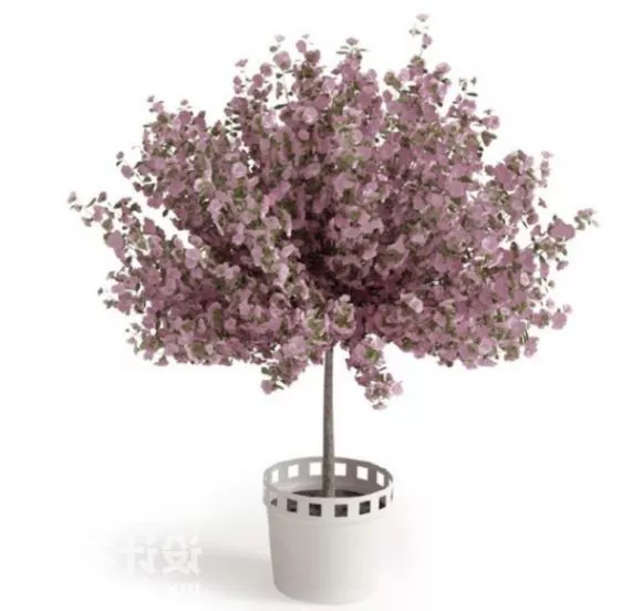 Old Anime Tree 3d model
