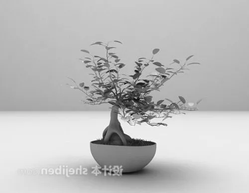 Leaf Bonsai Potted Plant 3d model