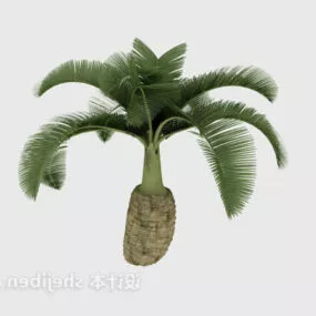 Realistic Garden Palm Tree 3d model
