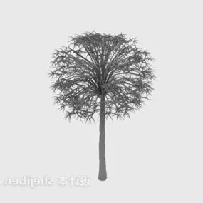 Garden Tree Sphere Shaped V1 3d model