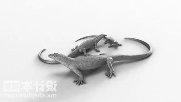 White Lizard Crawling 3d model