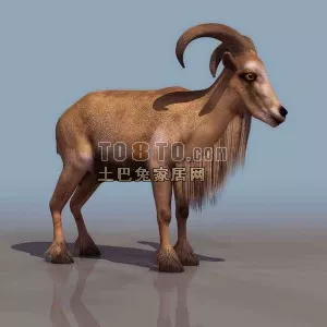 Realistic Horn Male Goat Animal 3d model Realistic Horn Male Goat Animal 3d model