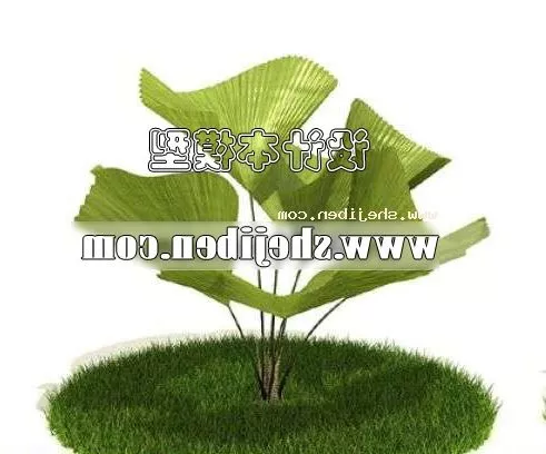 Grape Leaf 3d model