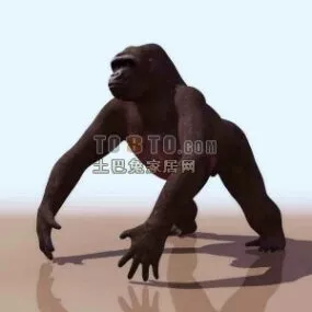 Gorilla Animal 3d model