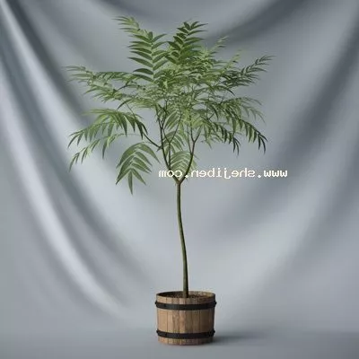 Magical Tree 3d model
