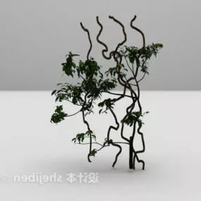 Green Wall Vine Plant 3d model