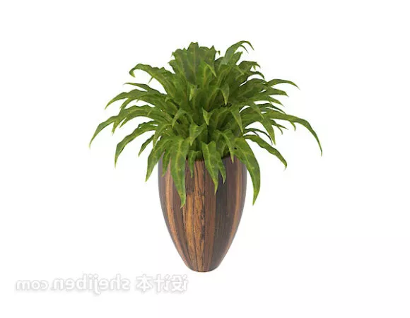 Indoor And Outdoor Plant Potted 3d model Indoor And Outdoor Plant Potted 3d model