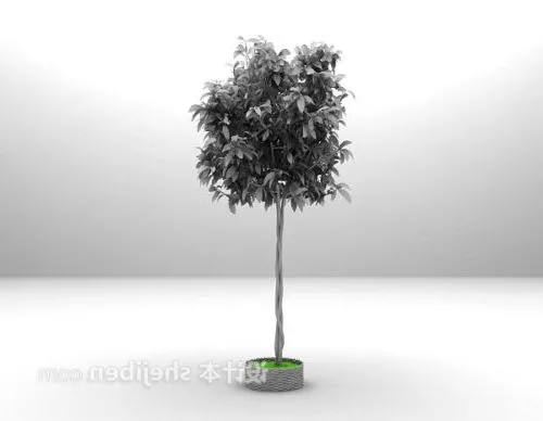 Home Indoor Bonsai Plant 3d model Home Indoor Bonsai Plant 3d model