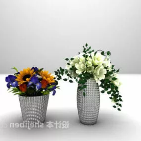 Indoor Flower Floral 3d model