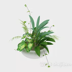 Indoor Potted Bonsai 3d model