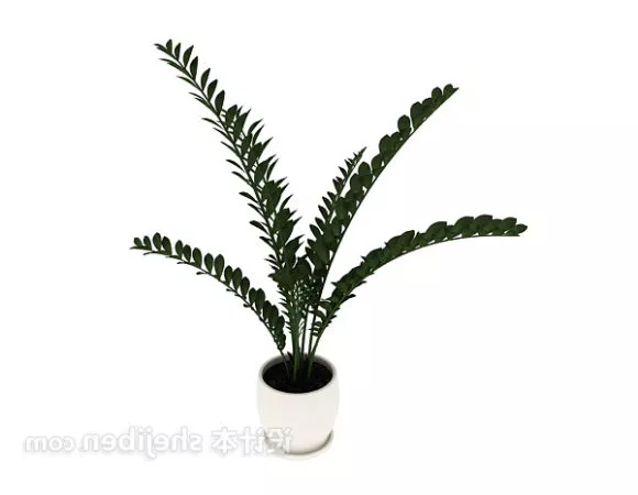 Spiky Pot Plant 3d model
