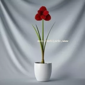 Indoor Potted Decorative Flower 3d model