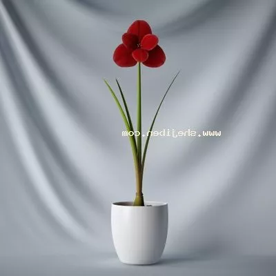 Wild Flower Bushes 3d model