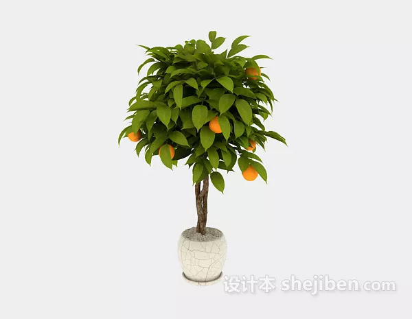 Indoor Potted Orange Tree 3d model Indoor Potted Orange Tree 3d model