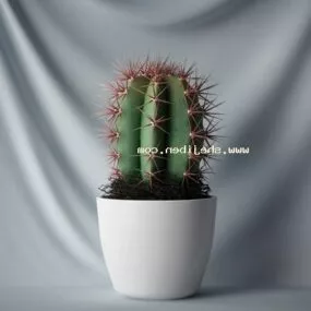 Indoor Potted Cactus Plant 3d model