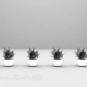 Indoor Small Bonsai 3d model