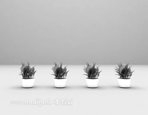 Indoor Small Bonsai 3d model Indoor Small Bonsai 3d model