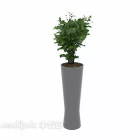 Interior Green Plant Grey Potted 3d model