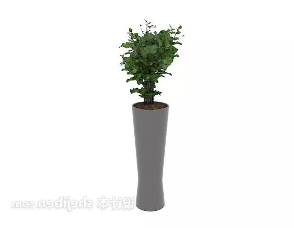 Interior Green Plant Grey Potted 3d model Interior Green Plant Grey Potted 3d model