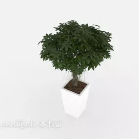 Interior Decorative Nature Plant Pot 3d model
