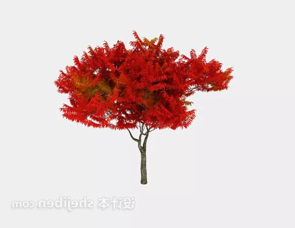 Nature Wheat 3d model