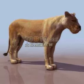 Lion Animal 3d model