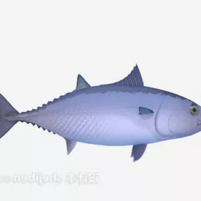 Sea Fat Fish 3d model