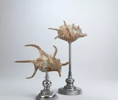 Modern Starfish Decorative 3d model Modern Starfish Decorative 3d model