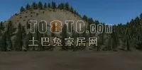 Mountain Terrain With Pine Tree 3d model