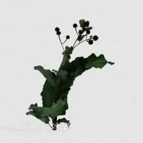 Outdoor Plant Nature 3d model
