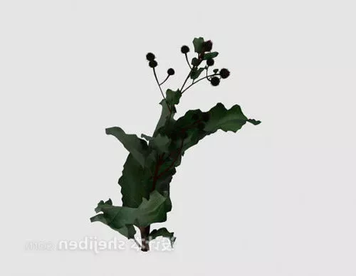 Outdoor Plant Nature 3d model Outdoor Plant Nature 3d model