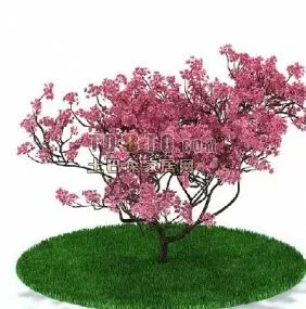 Outdoor Oak Tree Autumn Leaf 3d model