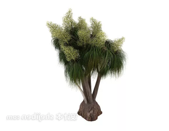 American Ash Tree 3d model