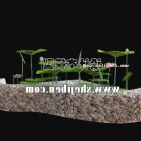 Outdoor Lotus Flower 3d model