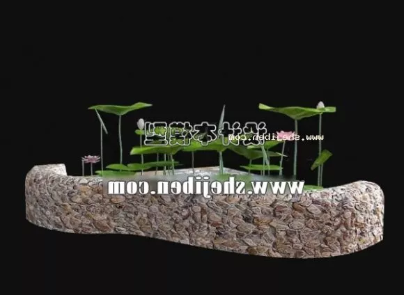 Cactus 3d model