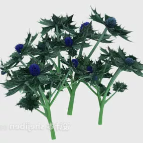 Outdoor Big Leaf Plant 3d model