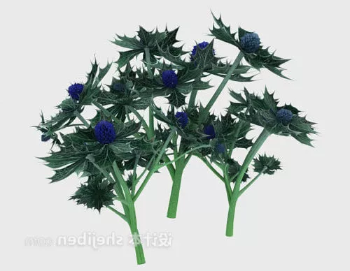 Grape Leaf 3d model