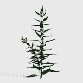 Garden Outdoor Plant 3d model