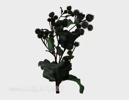 Outdoor Green Plant V1 3d model Outdoor Green Plant V1 3d model