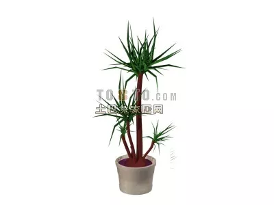 Broadleaf Tree Medium Size 3d model
