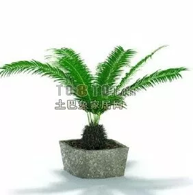Plant Potted Concrete Material 3d model