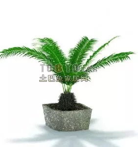 Potted Plant In Concrete Pot 3d model