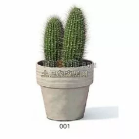 Cactus Plant In Pot 3d model