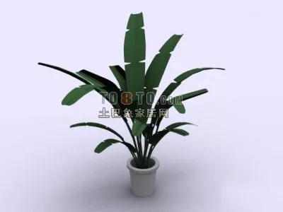 Garden Tree Thuja 3d model