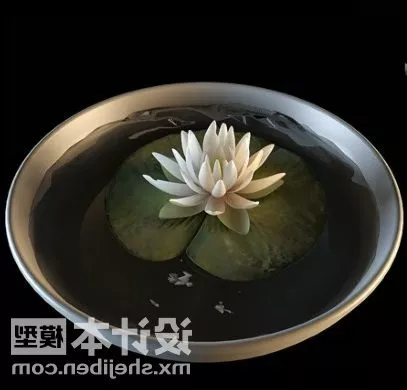Lotus Potted 3d model Lotus Potted 3d model