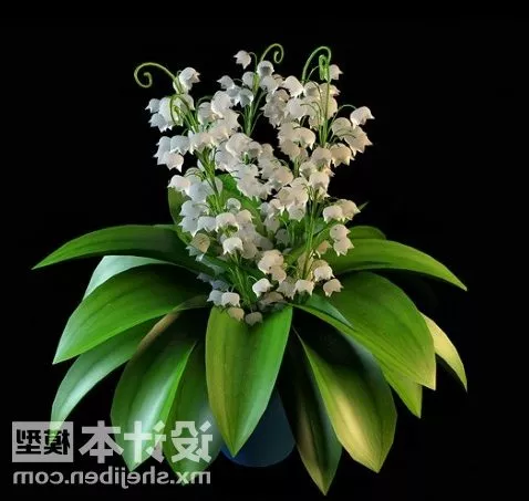 Potted Tree Bamboo 3d model