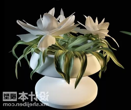 Old Anime Tree 3d model