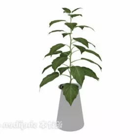 Concrete Potted Green Plant 3d model