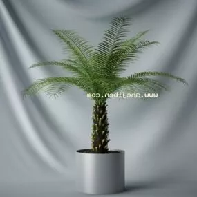Potted Small Palm Tree 3d model
